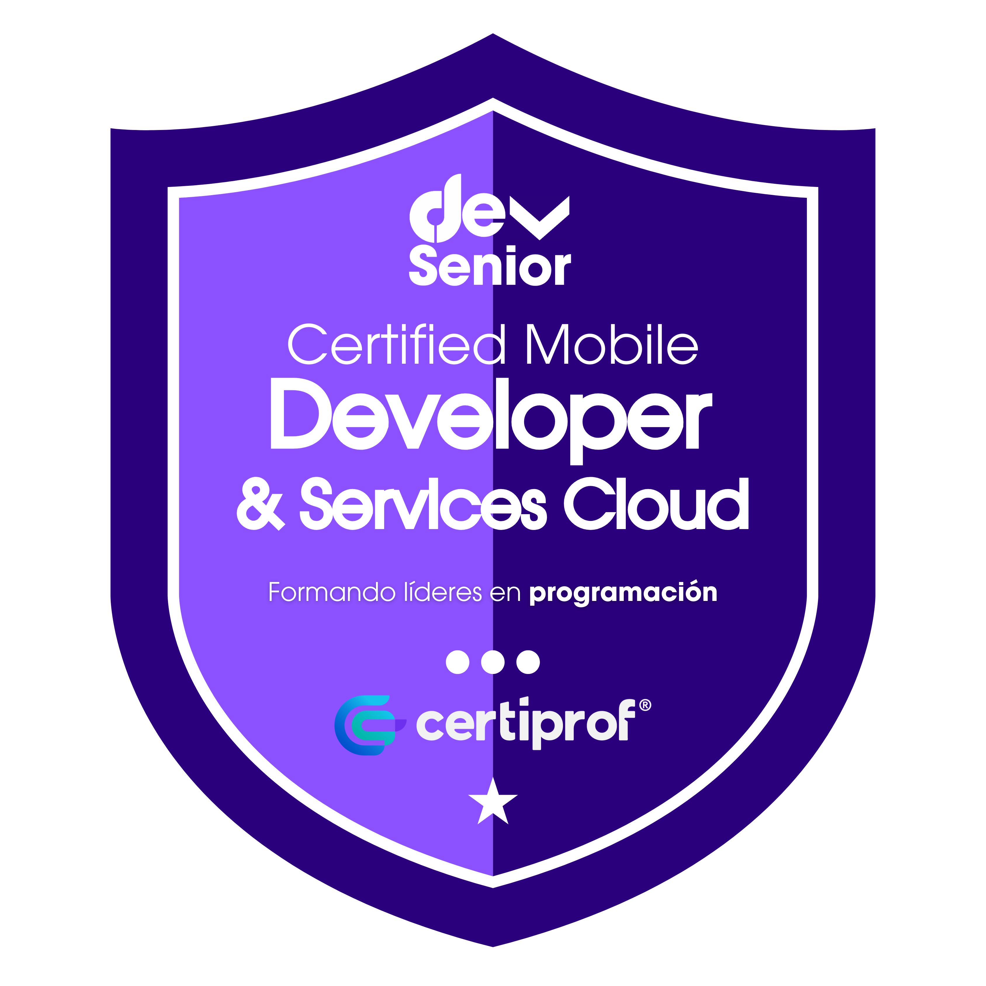 Insignia Mobile Developer & Services Cloud